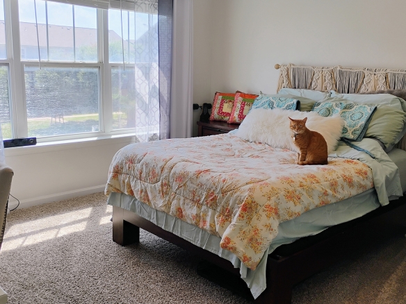 Bedroom with cat